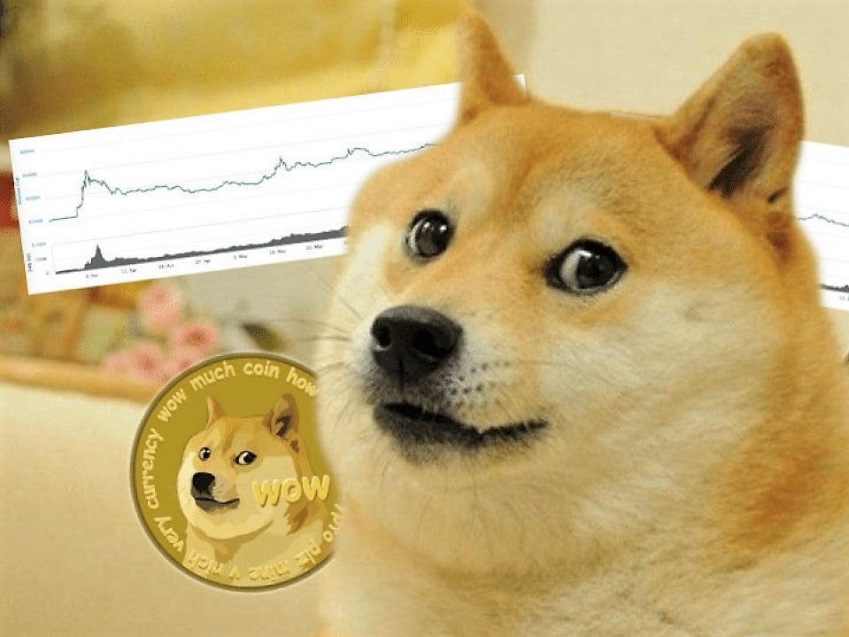Dogecoin: The Japanese rescue dog who became the unlikely